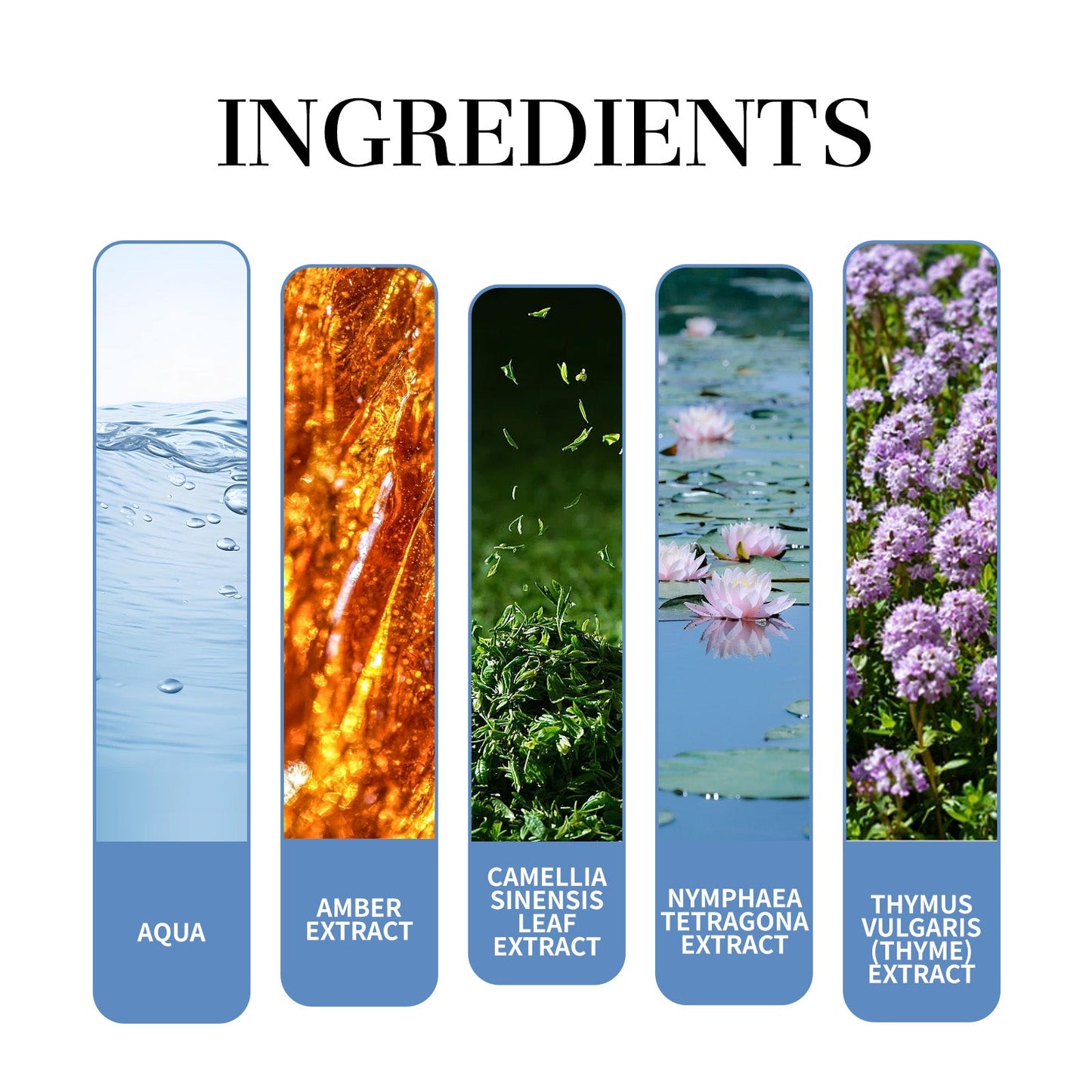 Magnet Charming Men Perfume with Fresh Natural Tea Fragrance Aroma