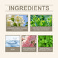 Elegant Charm Perfume Spray with Fresh Long Lasting Fragrance Aroma