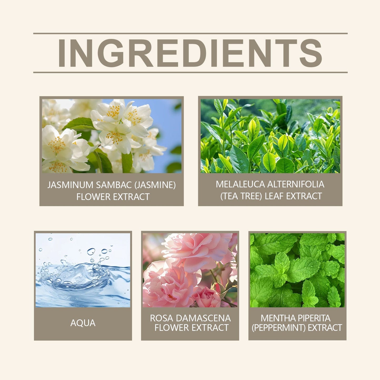 Elegant Charm Perfume Spray with Fresh Long Lasting Fragrance Aroma