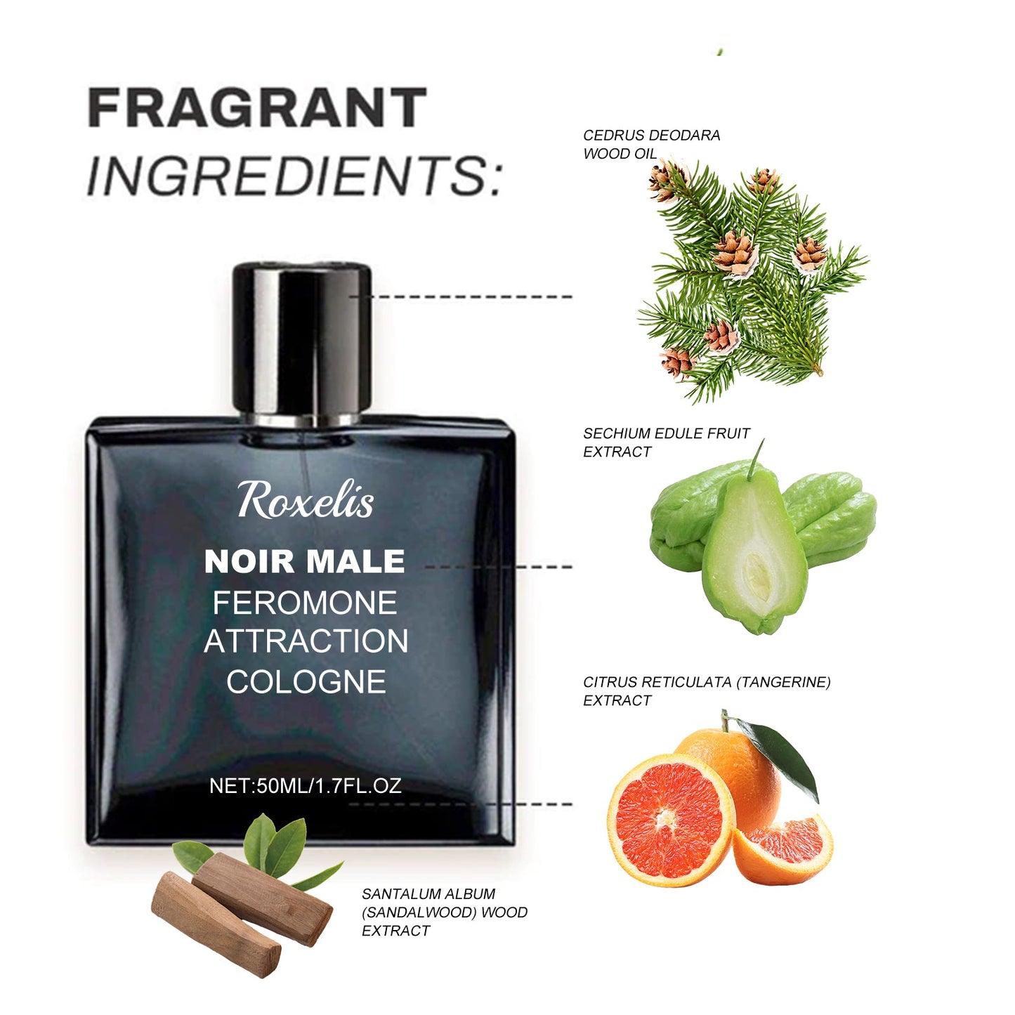 Noir Male Attraction Cologne with Refreshing Long Lasting Elegant Fragrance