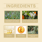 Cedar Soothing Essential Oil with Moisturizing Delicate Fragrance Massage Benefits