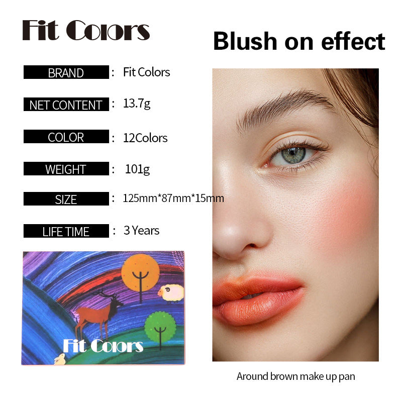 Fit Colors 12 Color Makeup Palette with Blush Eyeshadow Eyebrow Powder